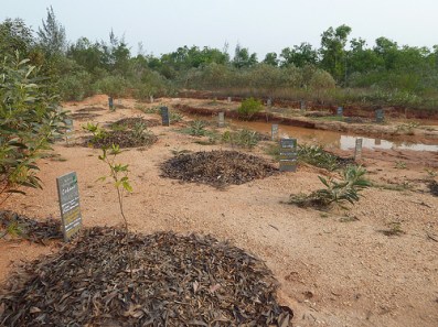 5751761729_dea8be4ac3